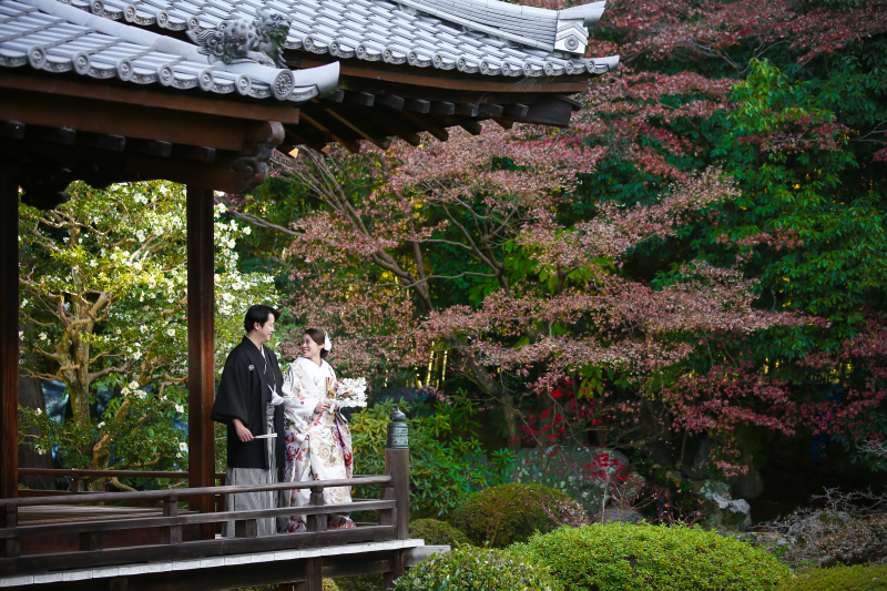 美しい緑に囲まれて