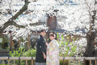 満開の桜ロケ❀