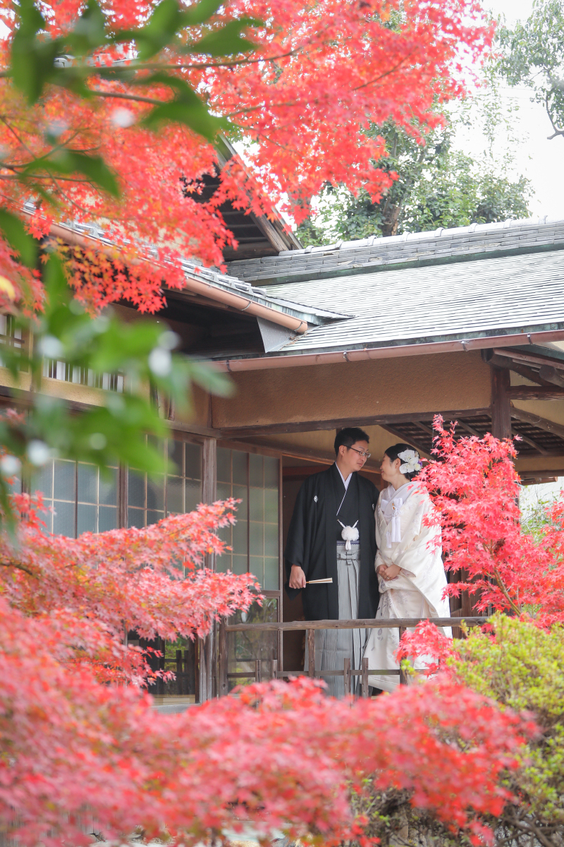 紅葉に包まれて2