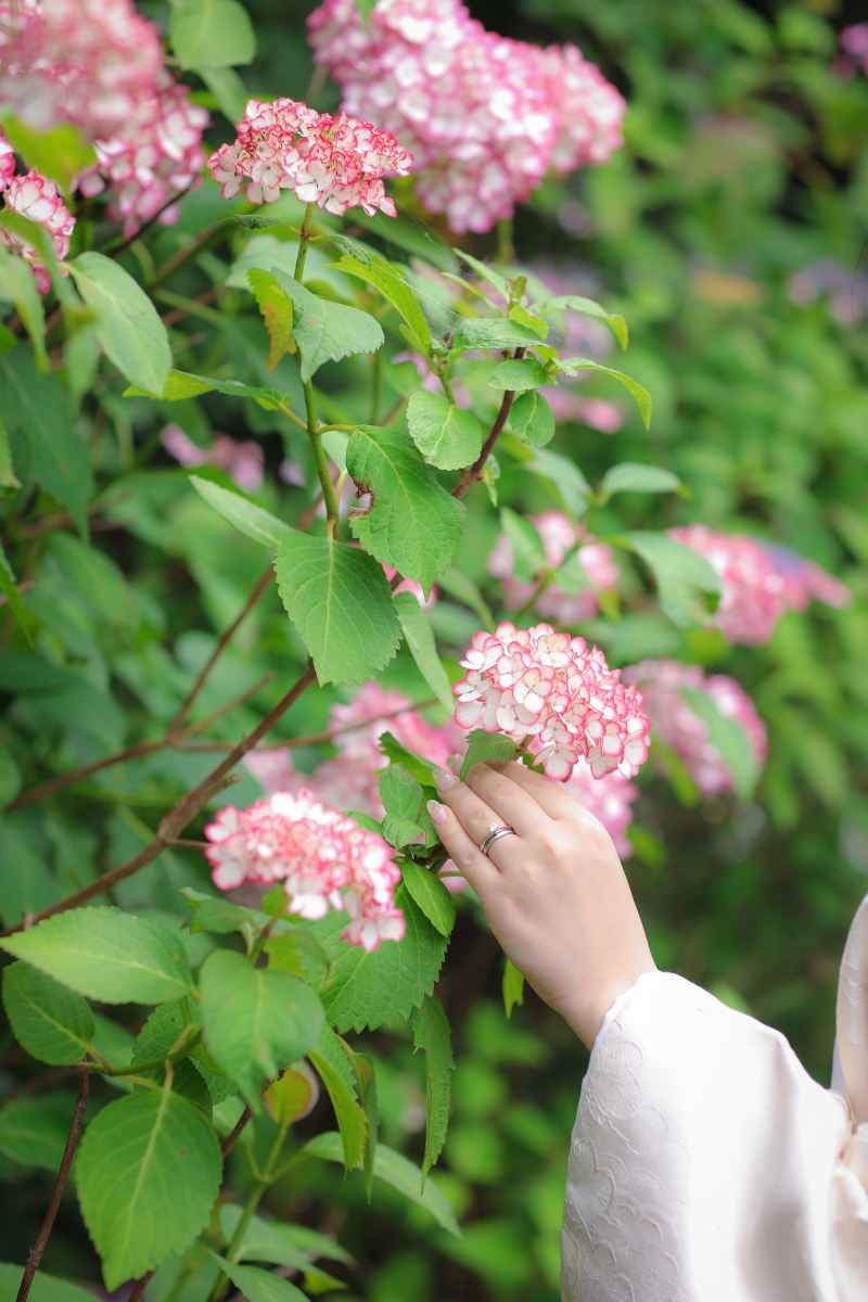 可愛いショット୨୧