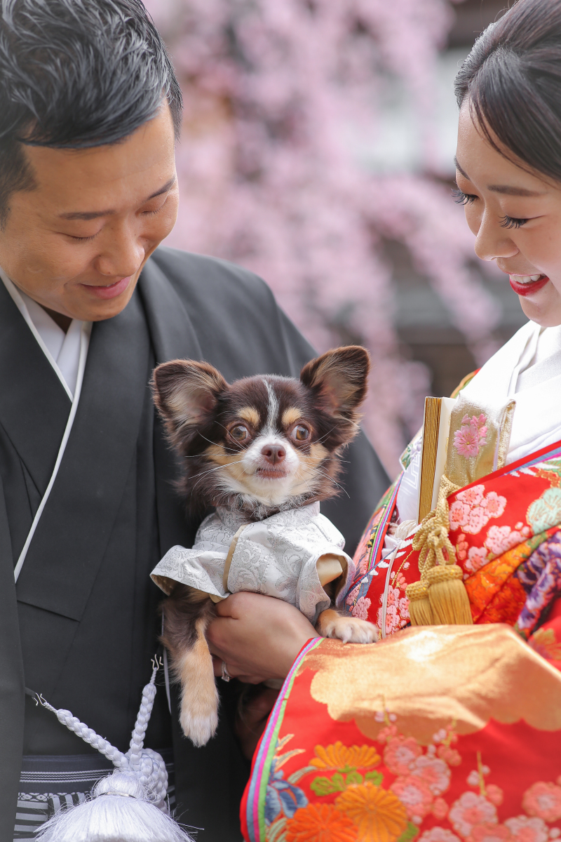 可愛いわんちゃんと合流~!!