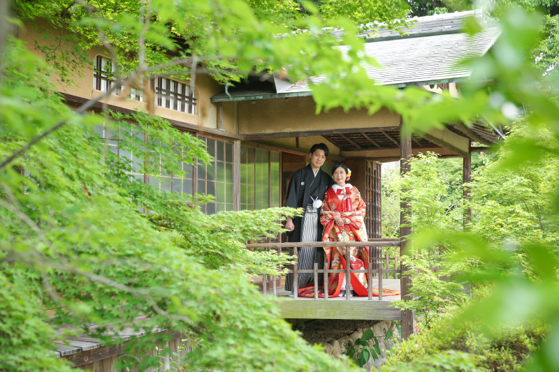 新緑の美⚚5月の梅宮大社⚚