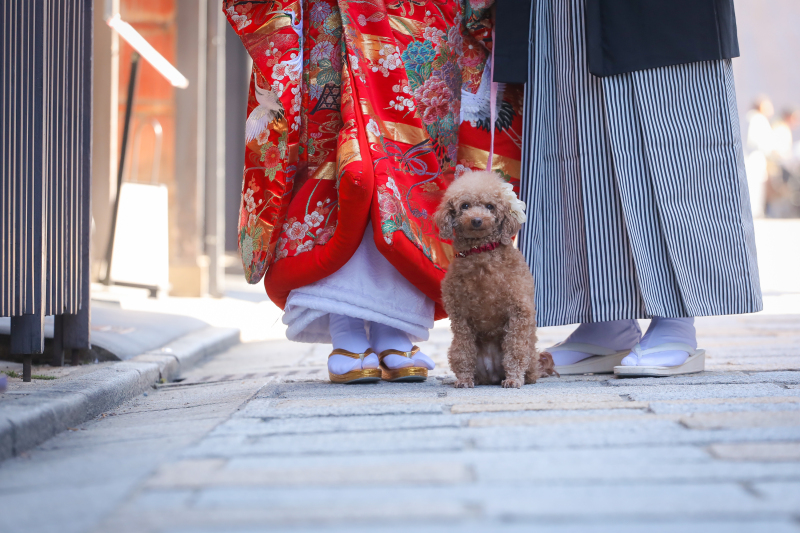 足元ショット with メメちゃん☺