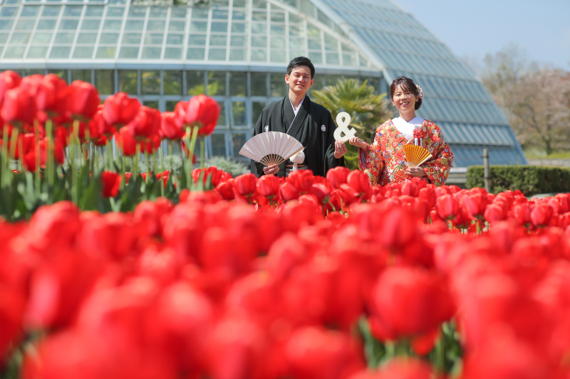 こちらも満開！