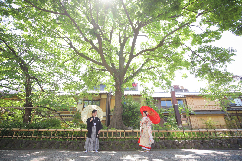 ⋆⸜緑いっぱい ⸝⋆