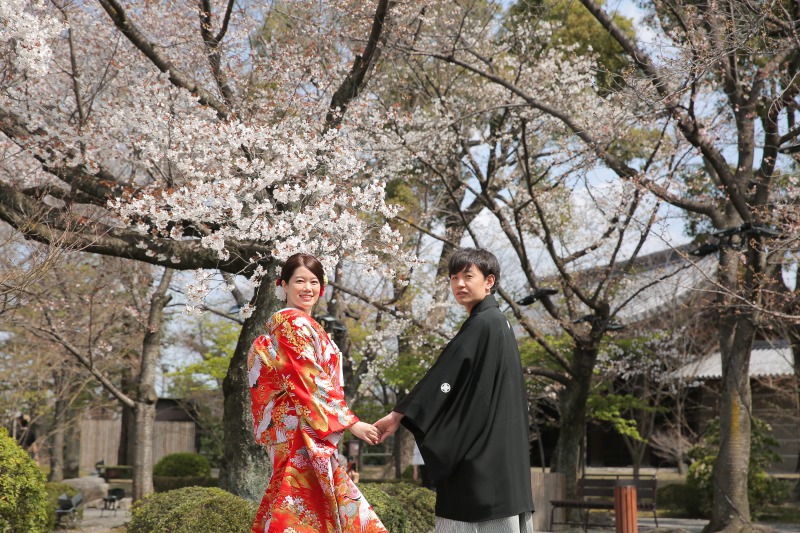 桜も新緑もありました୨୧