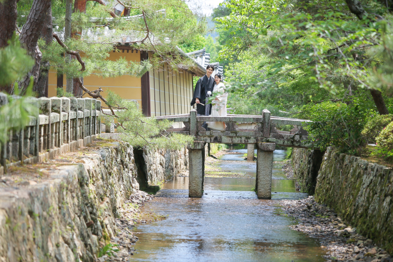 新緑の橋を渡って