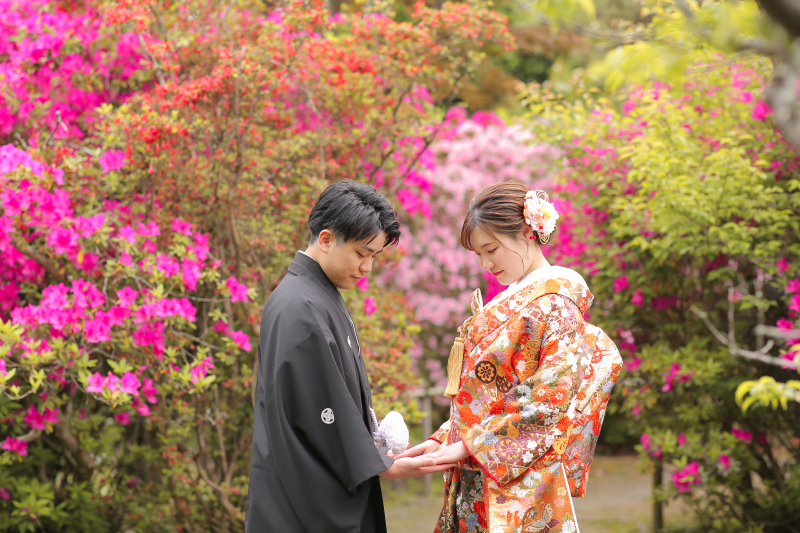 ツツジが綺麗♡