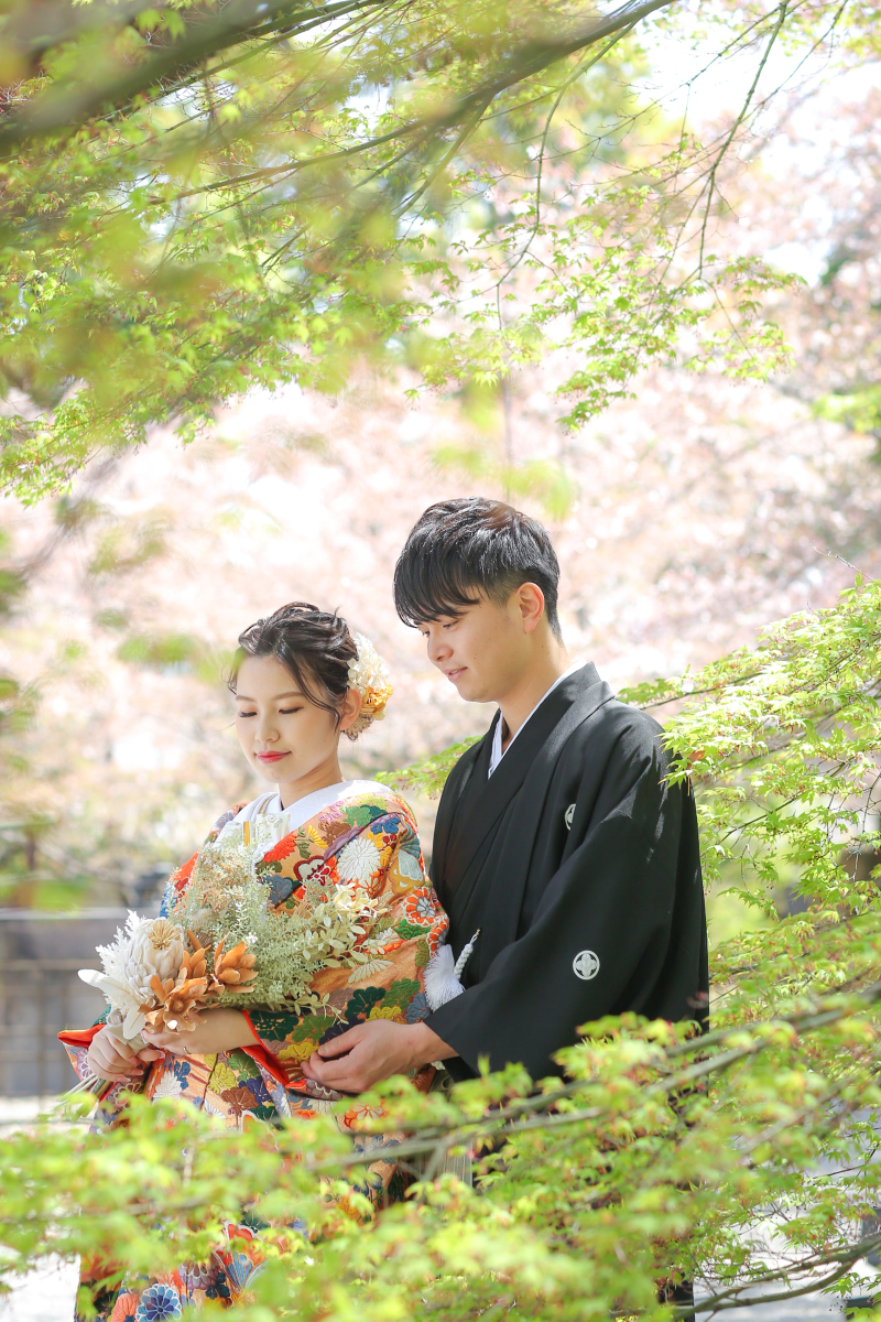 背景には満開の桜❀