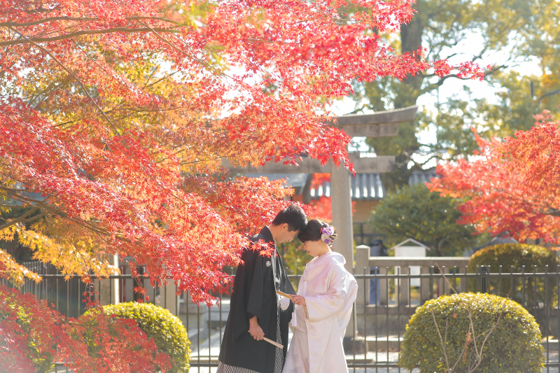 紅葉にまみれて