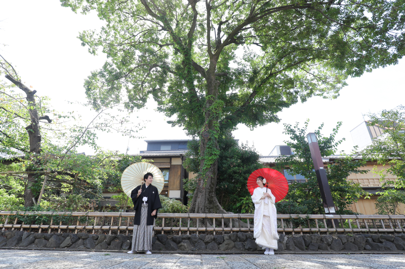 大きな木の下で