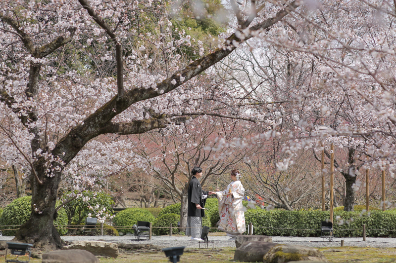 撮影を進めていきます