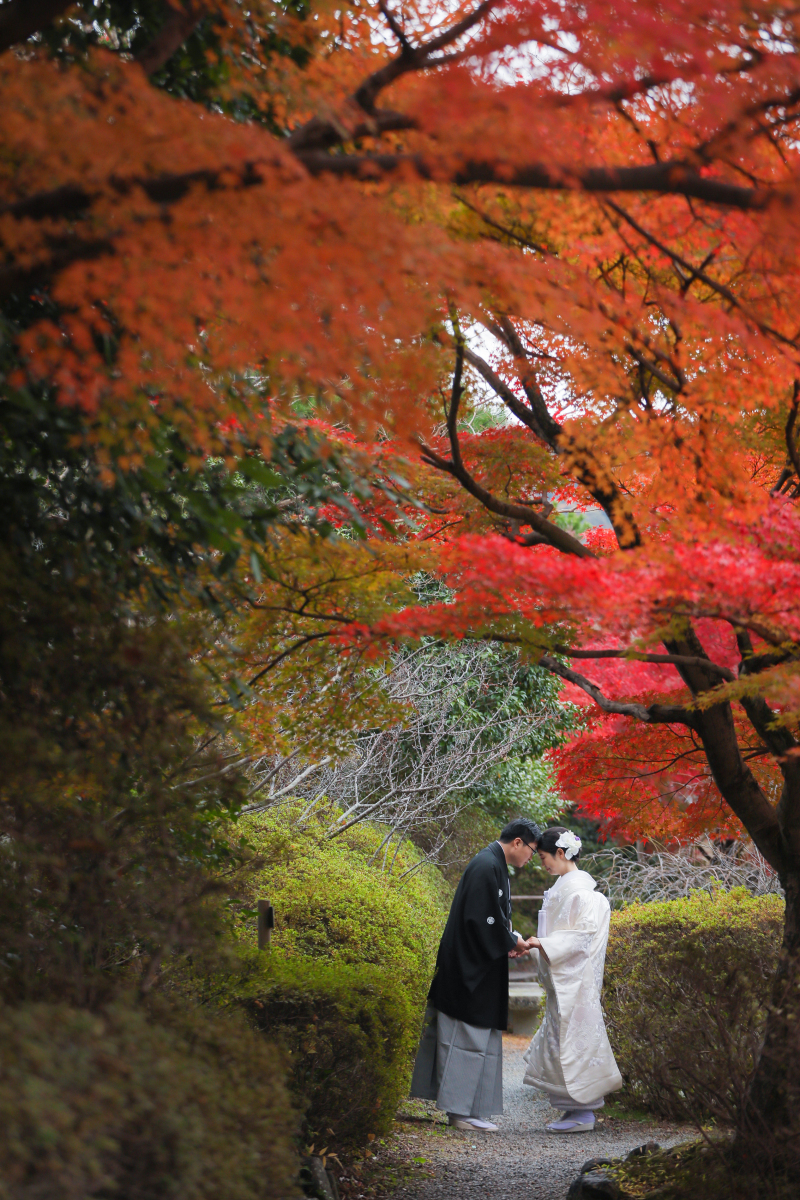 静かな時間໒꒱· ゚