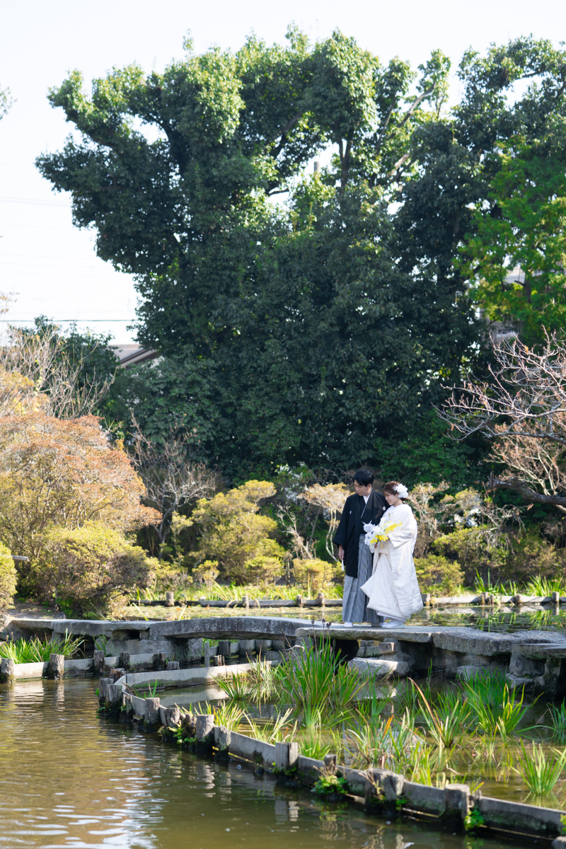 鯉がおふたりのもとへ〰〰