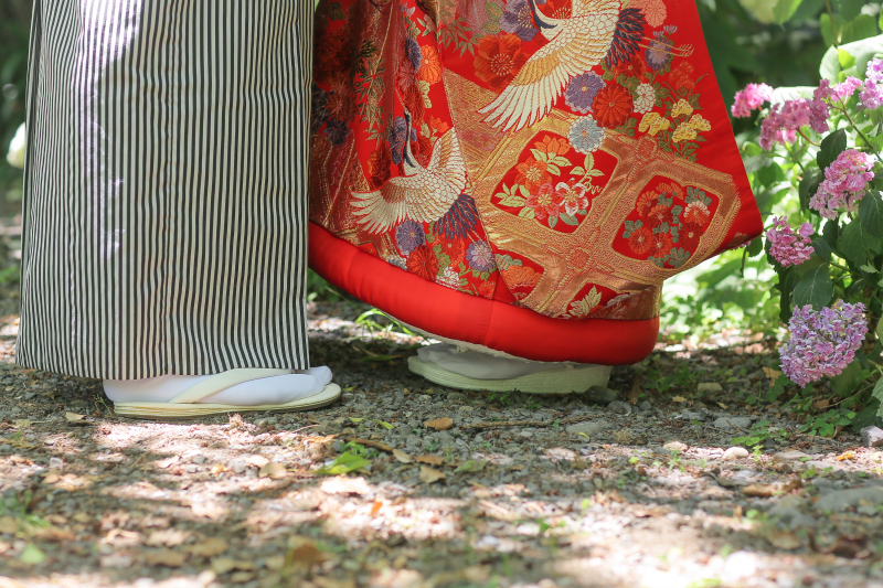 紫陽花もあります◎
