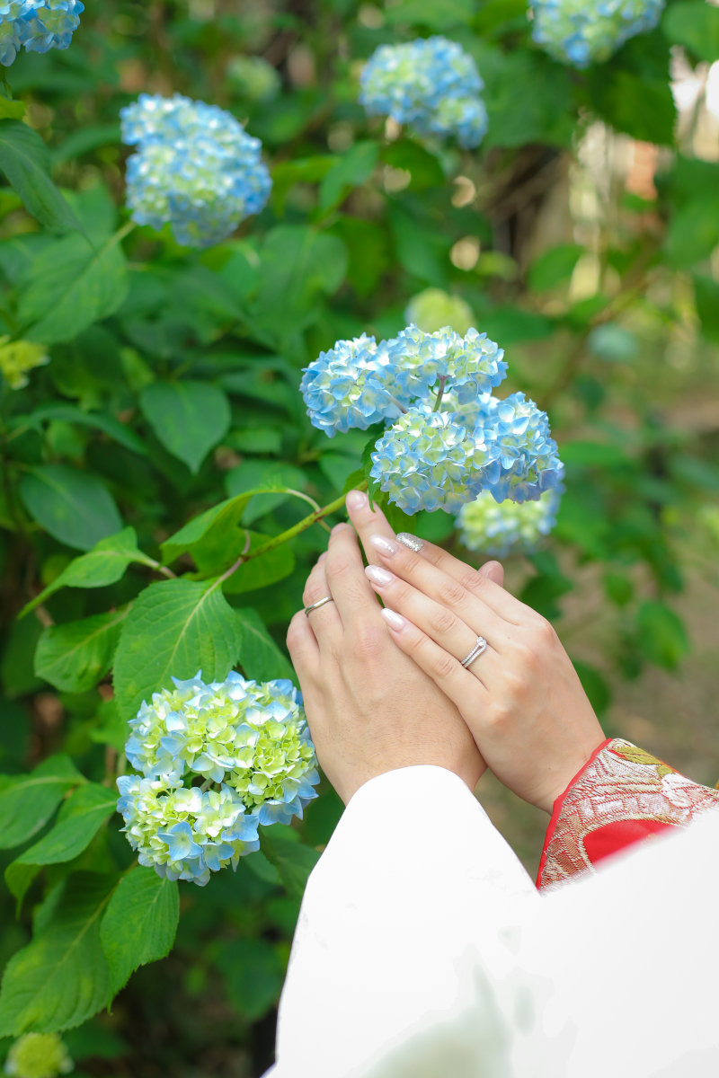 イメージカット2✧