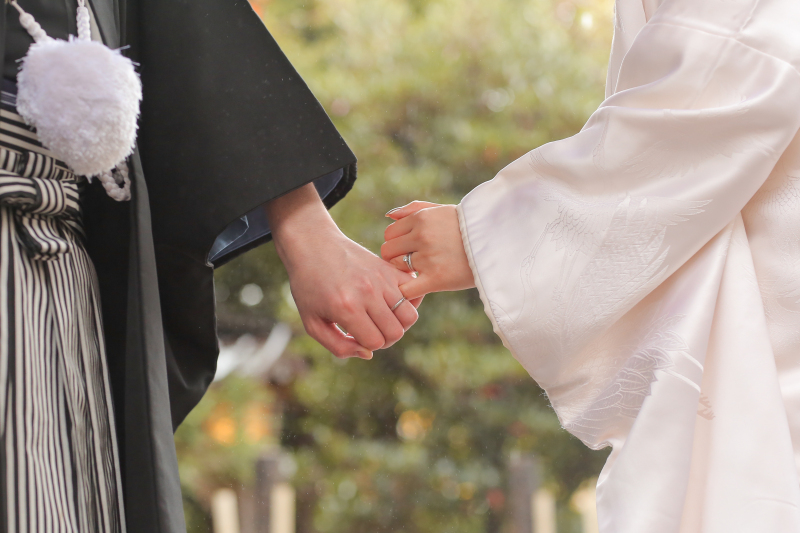 イメージカット