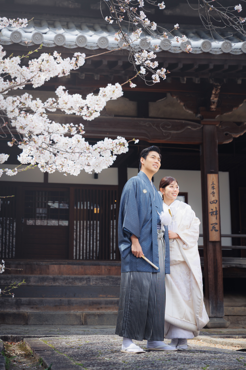 続いては桜メインとなるエリアへ