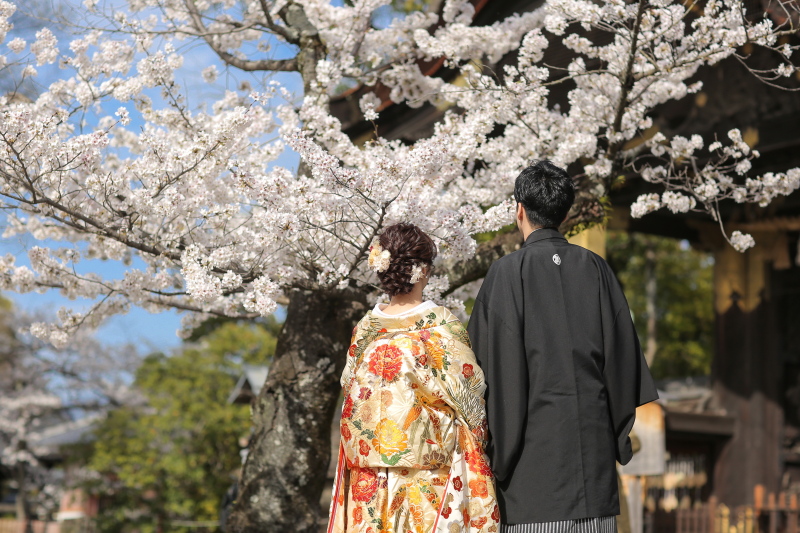 さくら咲く豊国神社❀