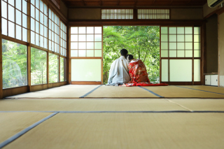 紫陽花.ᐟねこ.ᐟ