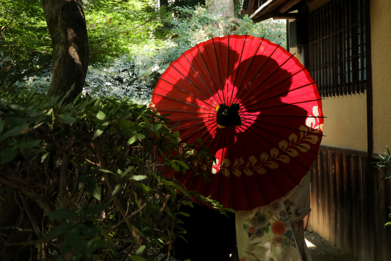 傘越しの陰から