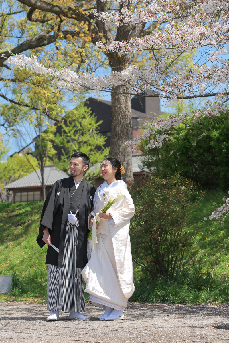 眺めている先は