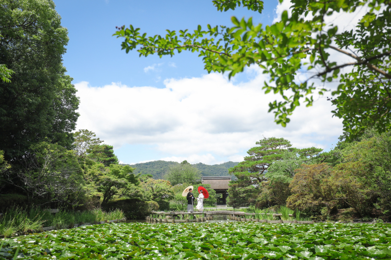 広いお庭を活かしてこのようなお写真も｡o○