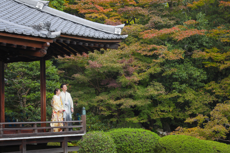 魅力いっぱい隋心院⚘