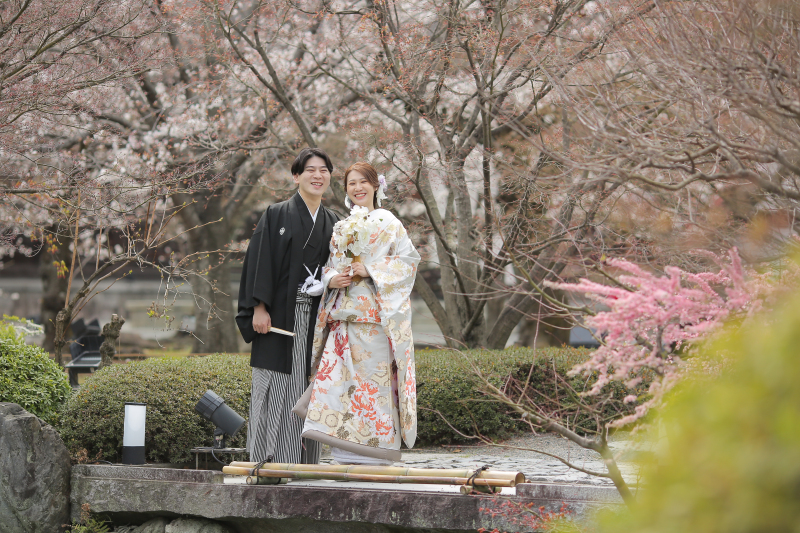 お池の向こうから