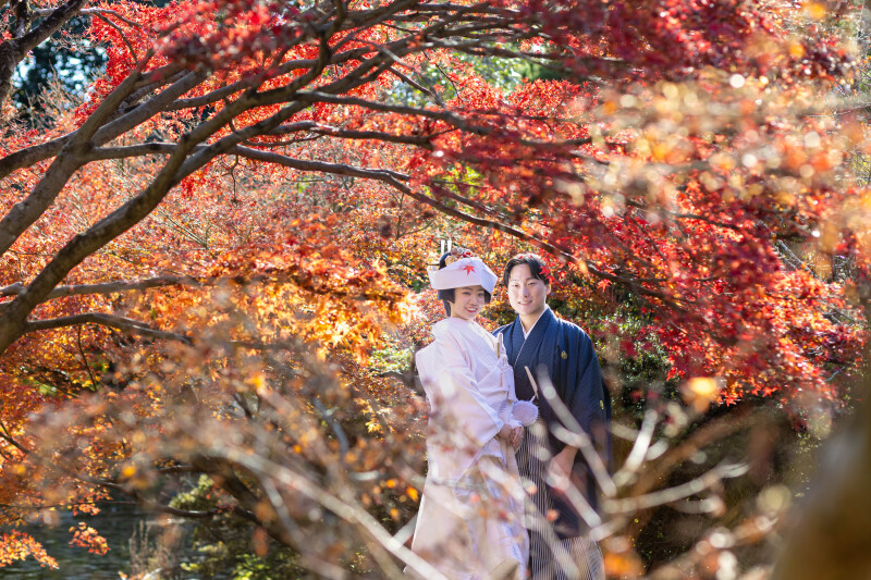 紅葉に囲まれて