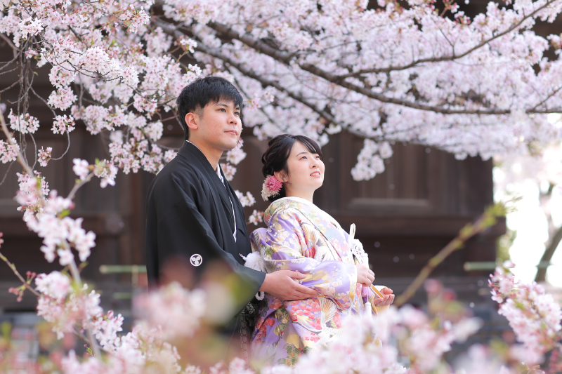 ストーリーテラー　京都サロン_世界遺産で撮影できる