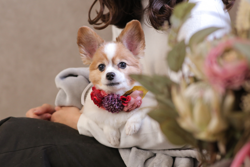 できるだけリラックスできるように