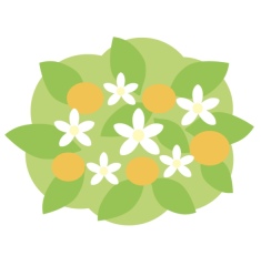 ご自身セレクト