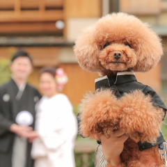 ペットと一緒に撮影