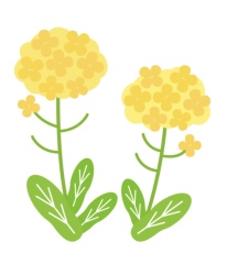 美肌補正(5カット)