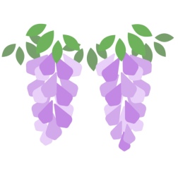 美肌補正(10カット)