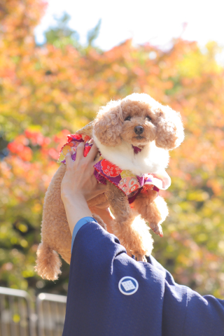 ストーリーテラー　京都サロン_鴨川