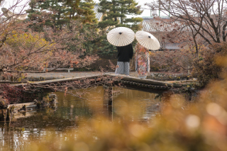 ストーリーテラー 京都サロン_梅宮大社
