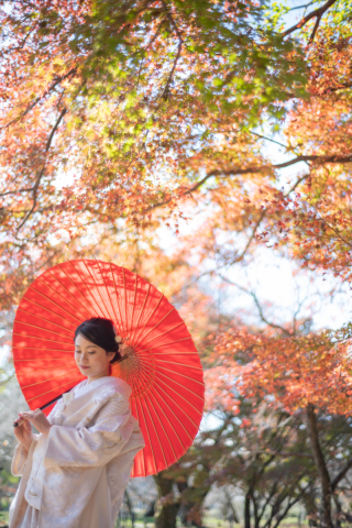 ストーリーテラー　京都サロン_植物園