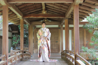 勅使門に続く石段の散り落ち葉が有名。境内だけでなく回廊での撮影も楽しめます