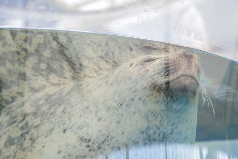 NEW！【京都水族館】洋装1点 補正済みデータ180カット 
