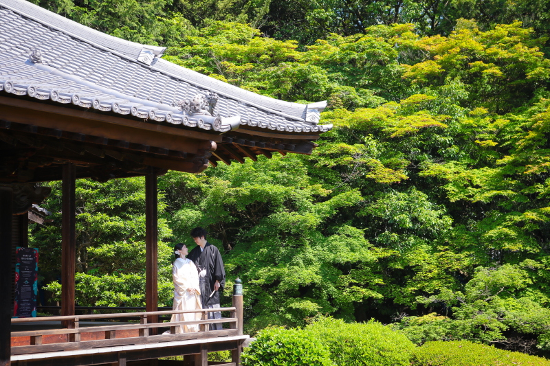 【隨心院】和装1点(白無垢or色打掛) 補正済データ200カット付