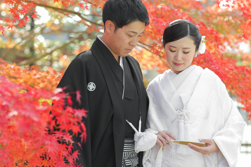 ★早割！【秋の東寺ロケ】 和装1点 補正済みデータ200カット