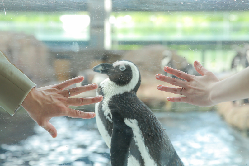 NEW！【京都水族館】洋装1点 補正済みデータ180カット 