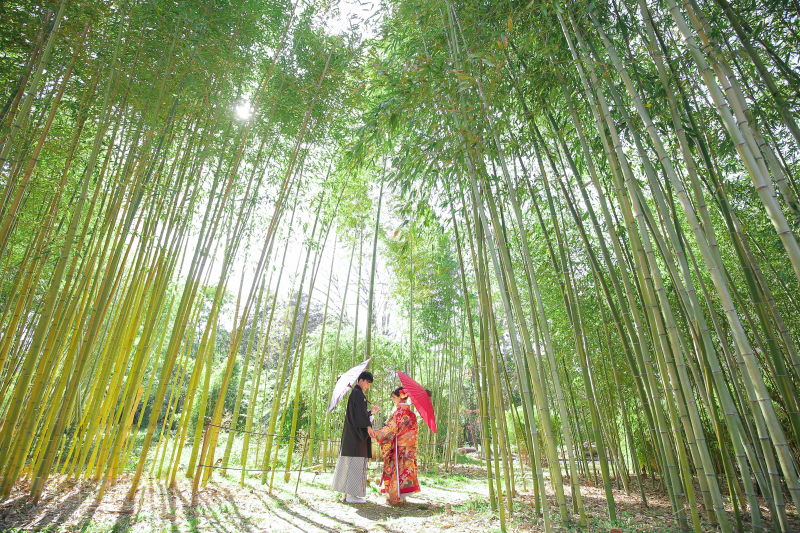 【森林や花々と♪ 京都府立植物園】和装1点(白無垢or色打掛) 補正済データ200カット付