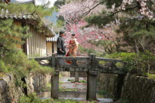 回廊・竹林・庭園など格式高い寺院で静寂に包まれて