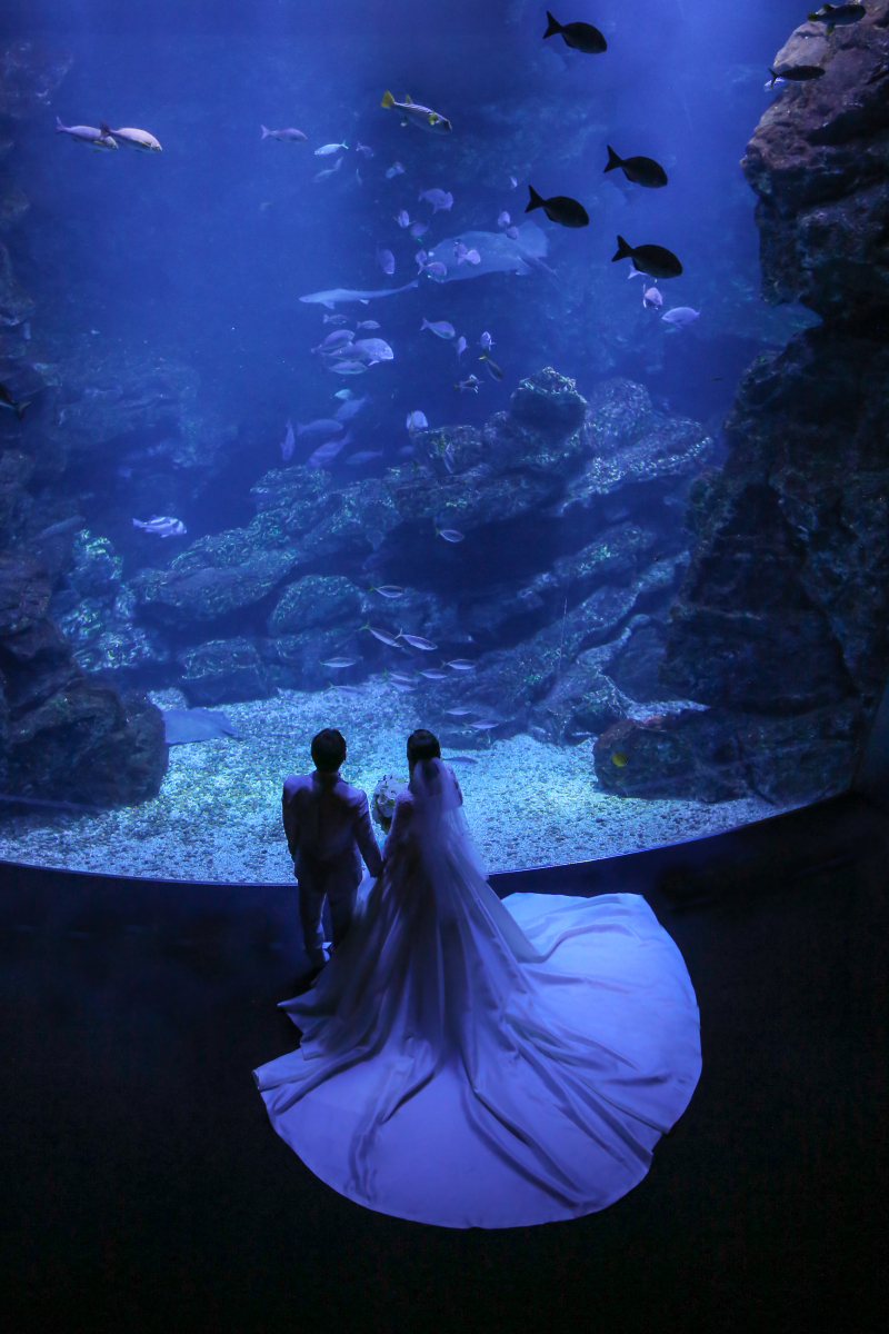 NEW！【京都水族館】洋装1点 補正済みデータ180カット 