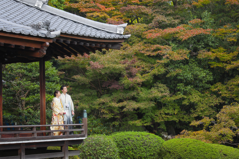 【人気ロケ地★隨心院(ずいしんいん)】和装1点(白無垢or色打掛) 補正済データ200カット付