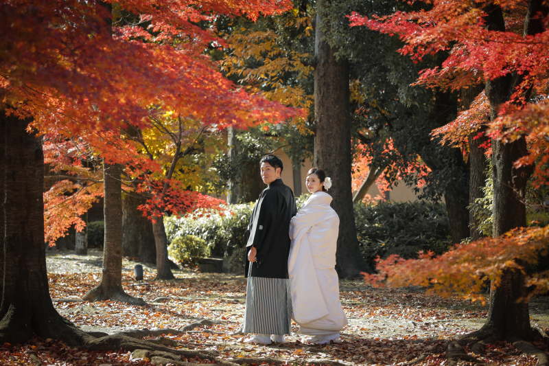 【世界遺産 東寺】★紅葉シーズンイチオシ◎《和装1点(白無垢or色打掛)》 補正済みデータ200カット