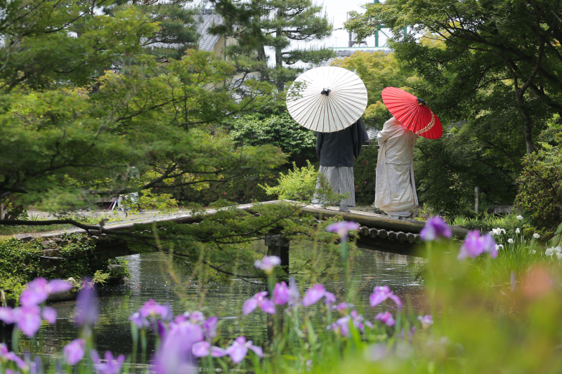 【梅宮大社・庭園+境内】和装1点(白無垢or色打掛) 補正済データ150カット付